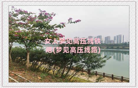 女人梦见高压线铁塔(梦见高压线路)