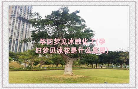 孕妇梦见冰融化了(孕妇梦见冰花是什么意思)