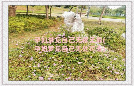 孕妇梦见自己无依无靠(孕妇梦见自己无处可去)