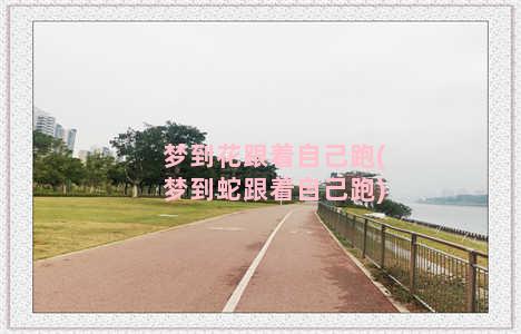 梦到花跟着自己跑(梦到蛇跟着自己跑)