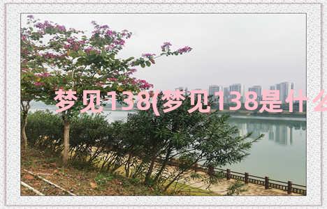 梦见138(梦见138是什么意思)