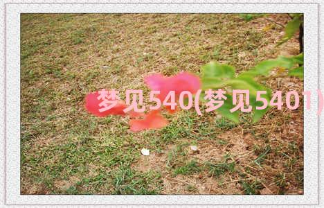 梦见540(梦见5401)