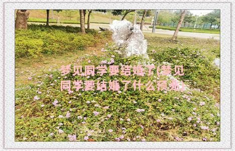 梦见同学要结婚了(梦见同学要结婚了什么预兆)