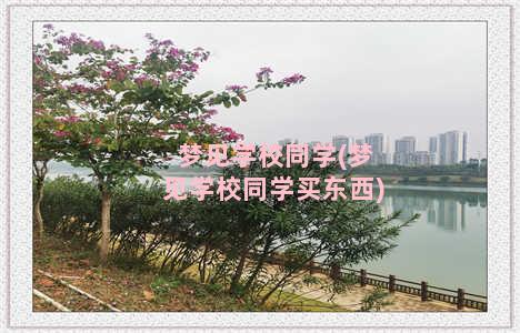 梦见学校同学(梦见学校同学买东西)