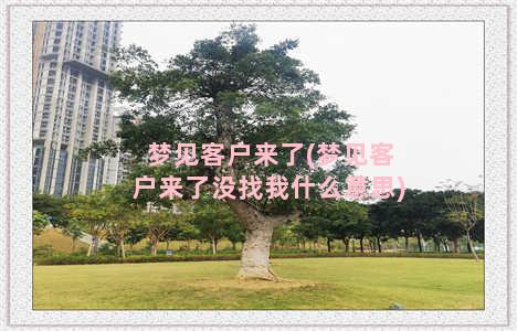 梦见客户来了(梦见客户来了没找我什么意思)