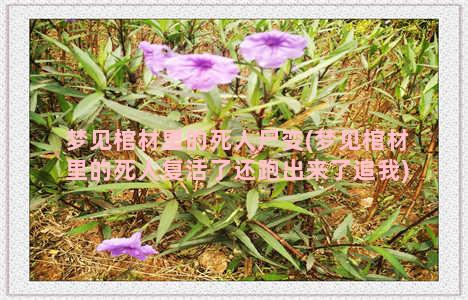 梦见棺材里的死人尸变(梦见棺材里的死人复活了还跑出来了追我)