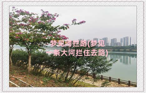 梦见河拦路(梦见一条大河拦住去路)