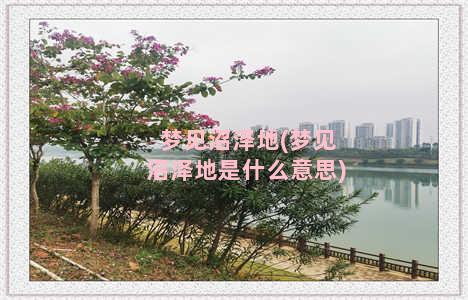 梦见沼泽地(梦见沼泽地是什么意思)