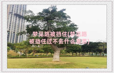 梦见路被挡住(梦见路被挡住过不去什么意思)